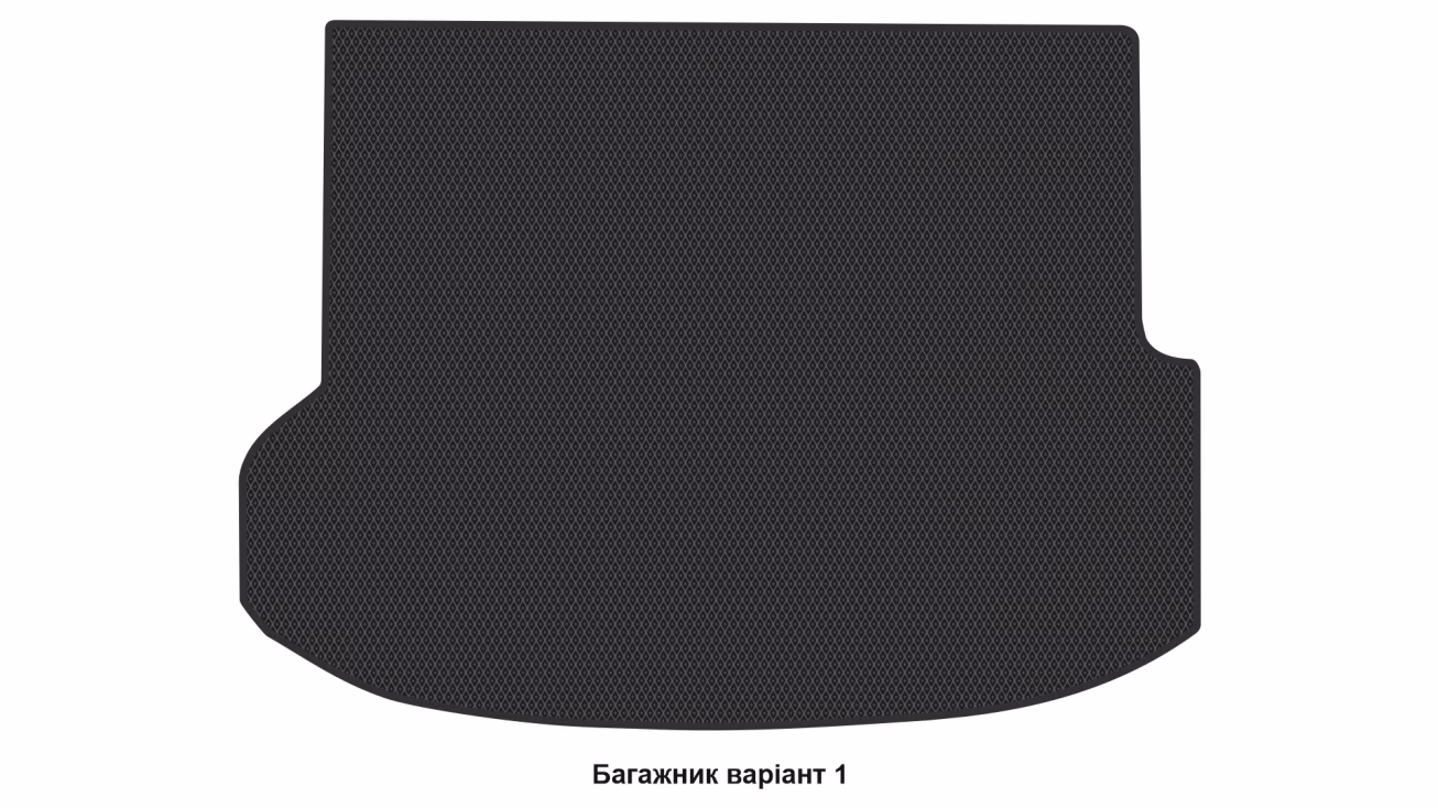 Килимки в салон Acura RDX (TB1) 2006-2009 I покоління US Crossover до рестайлінг - Фото 3