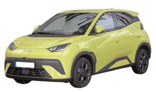 Килимки в салон BYD Dolphin Surf 2025-… I покоління EU Hatchback