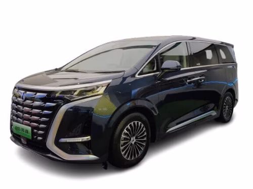 Килимки в салон Denza Denza D9 2022-… I покоління CN Minivan 7-ми місна