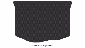 Килимки в салон Ford Fiesta (Mk7) 2008-2017 VI покоління US Hatchback 5-ти дверна - Фото 3