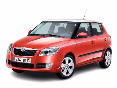 Килимки в салон Skoda Fabia 5J 2007-2014 II покоління EU Hatchback