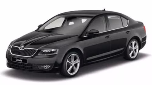 Килимки в салон Skoda Octavia A7 Scout 2013-2020 III покоління EU Liftback
