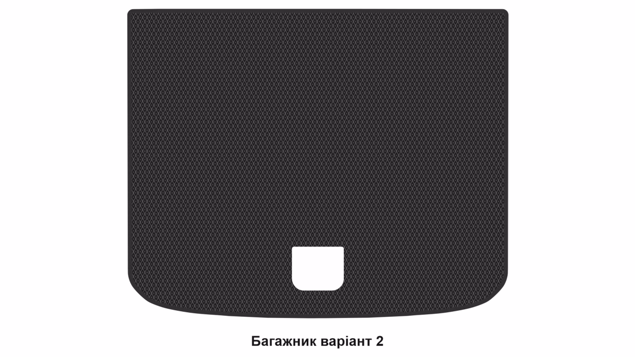 Килимки в салон Zeekr X 2023-… I покоління CN Crossover 5-ти місна - Фото 5
